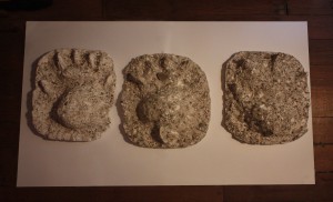 Evidence #2 3 moulages d’empreintes en plâtre 40X29 cm 2013