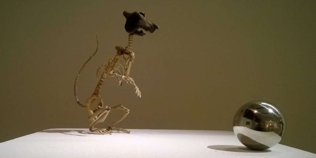 Giovanni Longo, Distanza zero, "Fragile Skeletons" series, 2015, Exposition "Opportunity Knocks Only Once" - Le Beffroi  ©PierreTarnawski