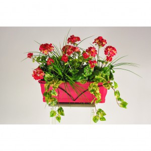 geranium-pelargonium-en-jardiniere-60-cm