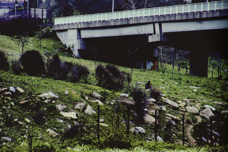 Scary Asian Men, Banu Cennetoglu, 2005–7