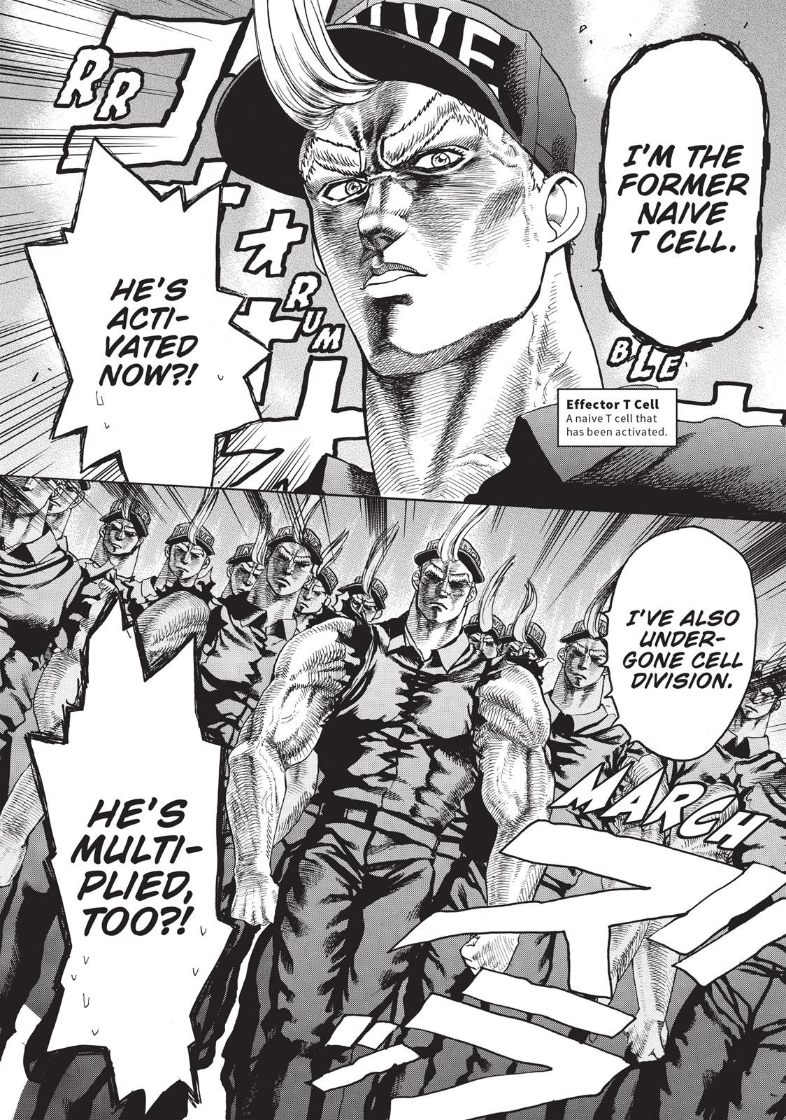 RÃ©sultat de recherche d'images pour "naive t cell cells at work"